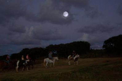 horseback riding near denver colorado